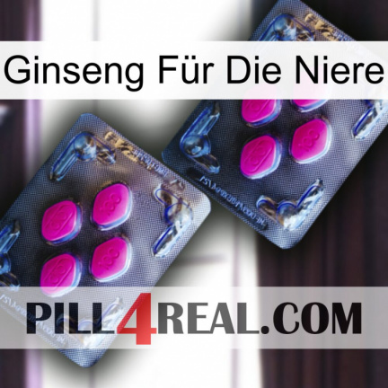 Ginseng Für Die Niere 01